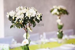 鮮花,組成,花束