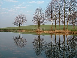 上午,池塘,樹木