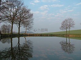 上午,池塘,樹木