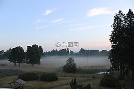 雾,上午,天空