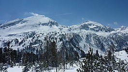 冬天,景觀,雪