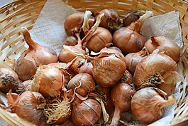 葱,香料,厨房