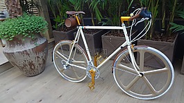 自行車,騎自行車,裝飾