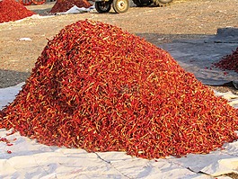 紅辣椒,智利辣椒,辣椒