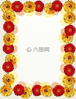 花卉的框架,圖片框,鮮花