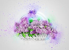 鮮花,丁香,籃