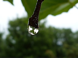 宏,滴,露水