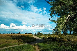天空,場,夏
