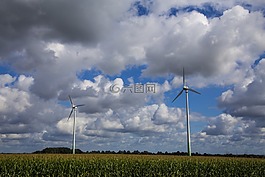 天空,云,樹(shù)木