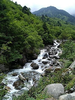 喇叭河,绿色风景,溪流