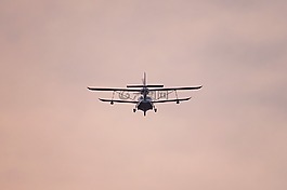飛機(jī),飛行,日落