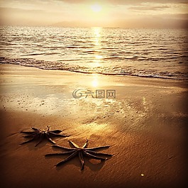 星級,mar,溶膠