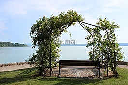 展館,湖,玫瑰