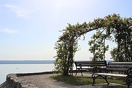 展館,湖,銀行