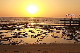 落潮,海,海灘