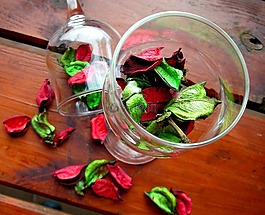 酒杯,花卉,一天