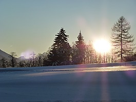 太陽(yáng),雪,冬天