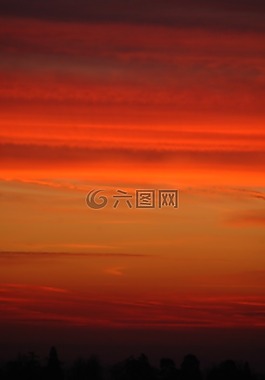 日出,森林,minstead
