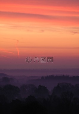 minstead,森林,日出