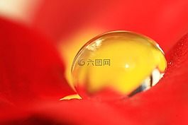拖放,水,雨