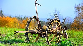 耕地,字段,秋季