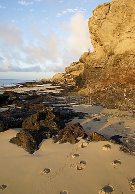 日出,海灘,巖