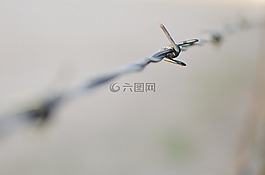 鐵絲網(wǎng),電線,籬笆