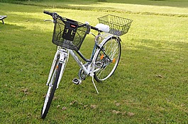 自行車籃里,自行車,白