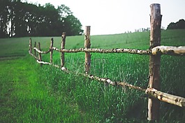 原野,籬笆,農(nóng)場