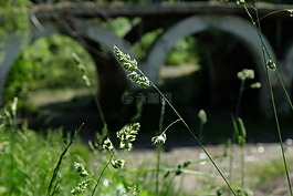 橋,在橋下,焦點