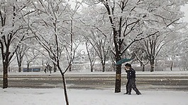 雪,路,街頭