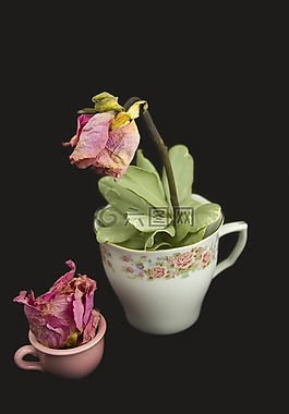 玫瑰,花瓣,粉紅色