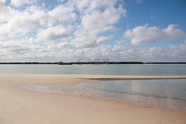mar,鹽,海灘
