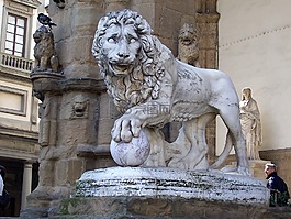 獅子,法規(guī),大衛(wèi)