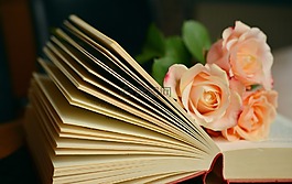 本書,書頁,讀取