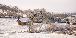 冬天,雪,弗羅斯特