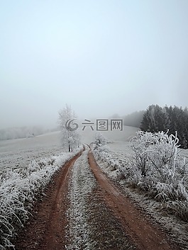 冬天,景觀,視圖