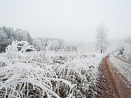 冬天,景觀,視圖