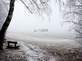 冬天,景觀,視圖
