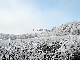 冬天,景觀,視圖