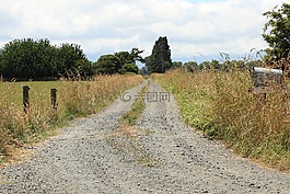 路,農(nóng)村,自然