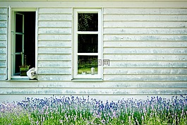 木材門面,晶格 windows,hauswand