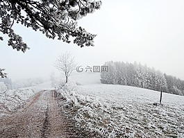 冬天,景觀,視圖