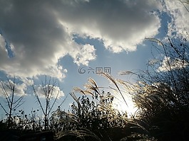 里德,天空,云