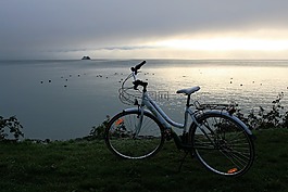 早上,自行車,景觀