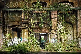 丟失的地方,客房,離開