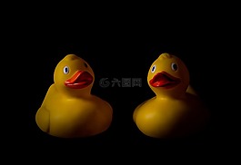 玩具,鸭,鸭子