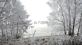 冬天,景觀,視圖