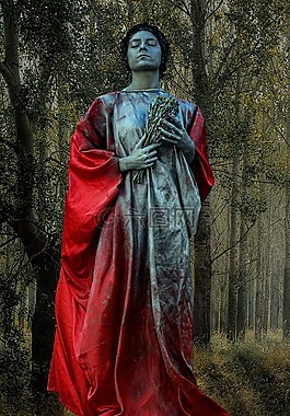 婦女,性質(zhì),人類