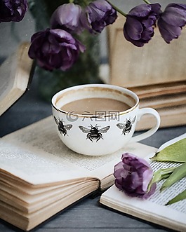 杯,表,喝